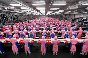 Apple Slaves in China