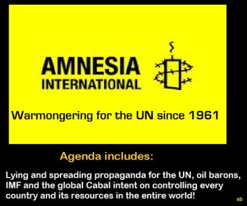 Amnesty International An Instrument of War Propaganda