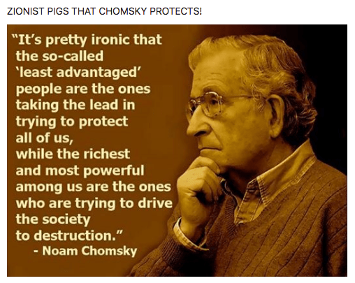 ZIONIST PIGS THAT CHOMSKY PROTECTS!